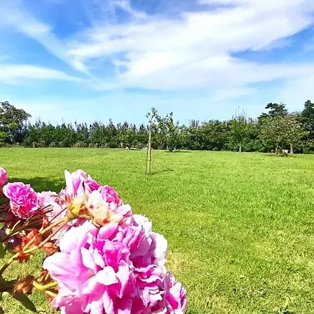 Rural Playa - Vistas Al Mar Foz